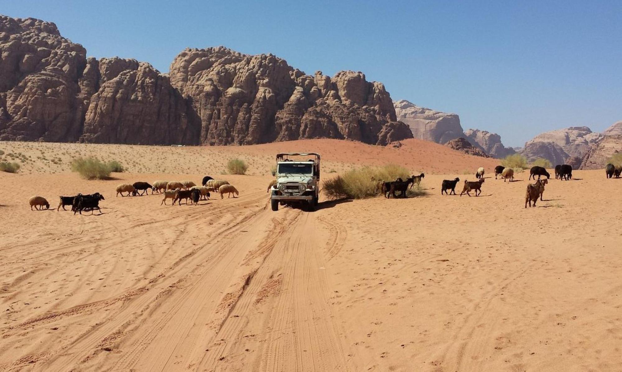 Authentic Bedouin Camp Вади-Рам Экстерьер фото